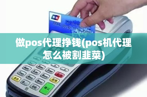 做pos代理挣钱(pos机代理怎么被割韭菜)