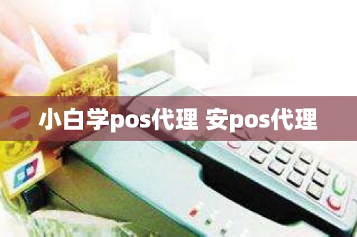 小白学pos代理 安pos代理