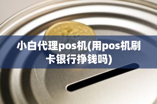 小白代理pos机(用pos机刷卡银行挣钱吗)