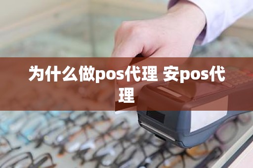 为什么做pos代理 安pos代理