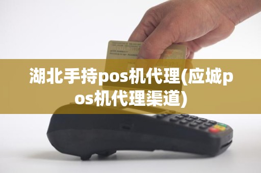 湖北手持pos机代理(应城pos机代理渠道)