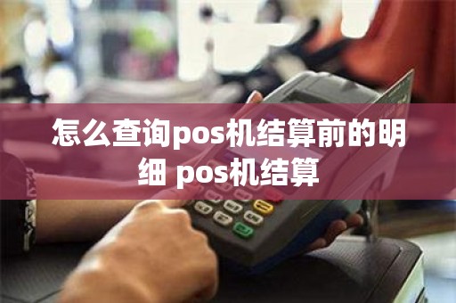 怎么查询pos机结算前的明细 pos机结算