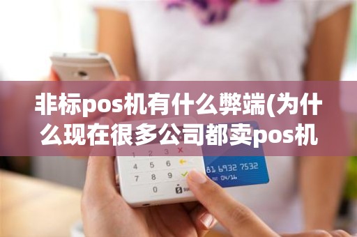 非标pos机有什么弊端(为什么现在很多公司都卖pos机)