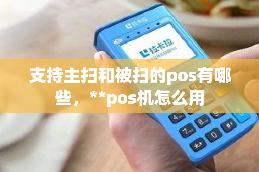 支持主扫和被扫的pos有哪些，**pos机怎么用