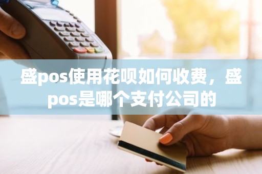 盛pos使用花呗如何收费，盛pos是哪个支付公司的