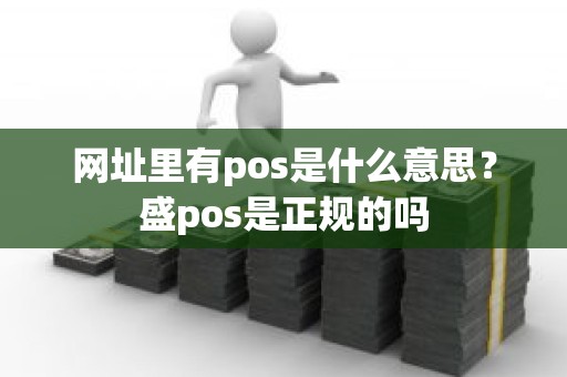 网址里有pos是什么意思？盛pos是正规的吗