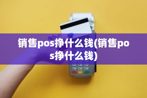 销售pos挣什么钱(销售pos挣什么钱)