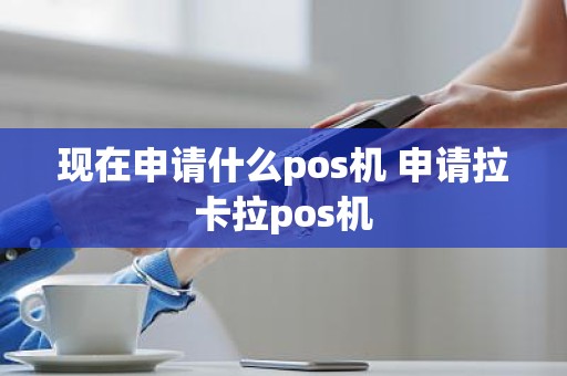 现在申请什么pos机 申请拉卡拉pos机