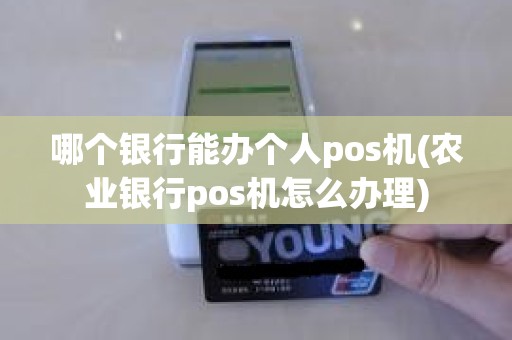 哪个银行能办个人pos机(农业银行pos机怎么办理)