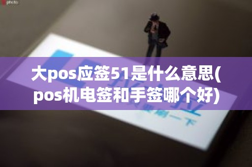 大pos应签51是什么意思(pos机电签和手签哪个好)