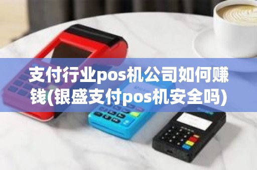 支付行业pos机公司如何赚钱(银盛支付pos机安全吗)