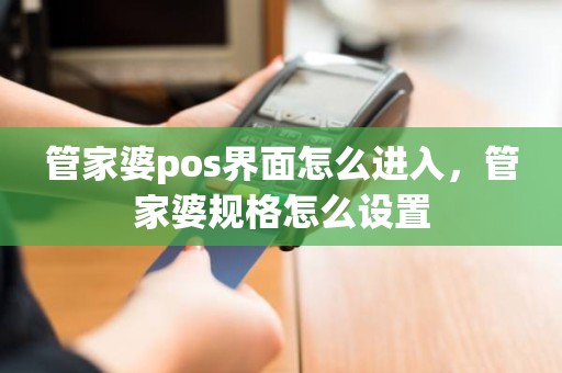 管家婆pos界面怎么进入，管家婆规格怎么设置
