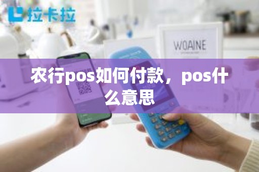 农行pos如何付款，pos什么意思