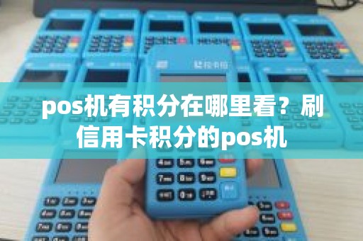 pos机有积分在哪里看？刷信用卡积分的pos机