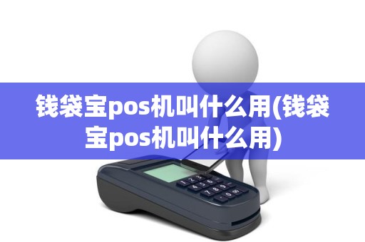 钱袋宝pos机叫什么用(钱袋宝pos机叫什么用)