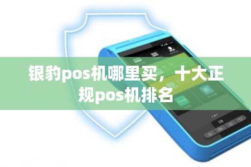 银豹pos机哪里买，十大正规pos机排名