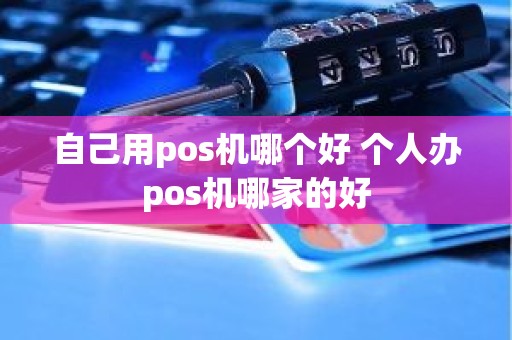自己用pos机哪个好 个人办pos机哪家的好