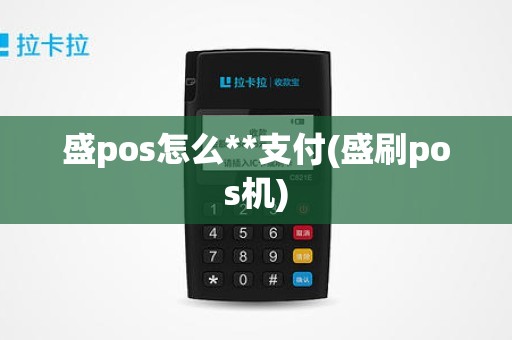 盛pos怎么**支付(盛刷pos机)