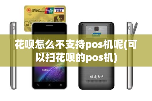 花呗怎么不支持pos机呢(可以扫花呗的pos机)