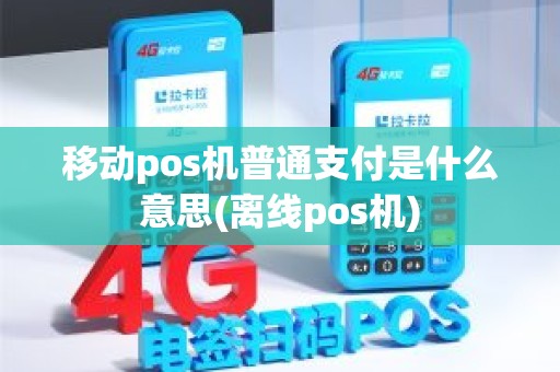 移动pos机普通支付是什么意思(离线pos机)