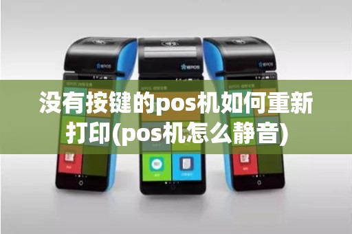 没有按键的pos机如何重新打印(pos机怎么静音)