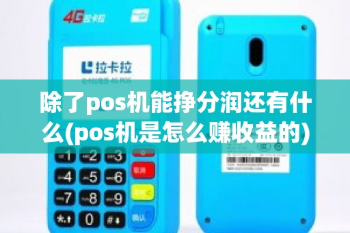 除了pos机能挣分润还有什么(pos机是怎么赚收益的)