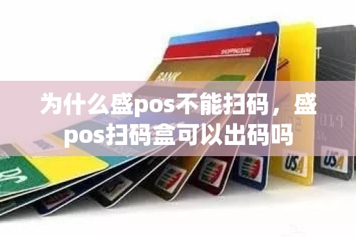 为什么盛pos不能扫码，盛pos扫码盒可以出码吗