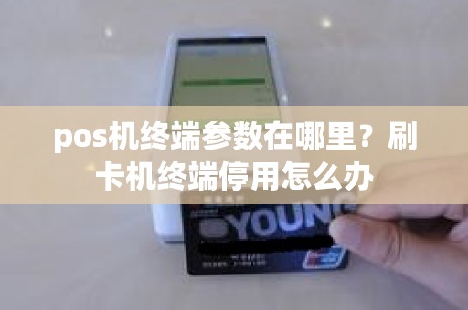 pos机终端参数在哪里？刷卡机终端停用怎么办