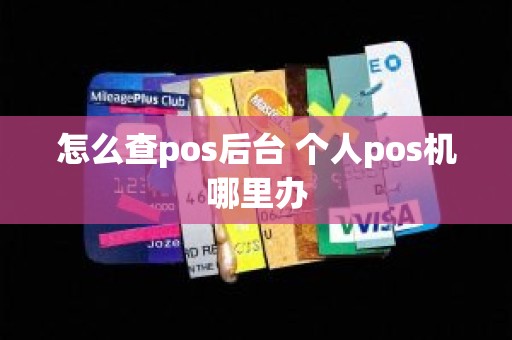 怎么查pos后台 个人pos机哪里办