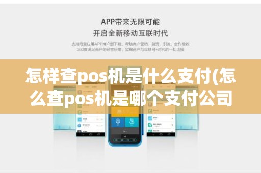 怎样查pos机是什么支付(怎么查pos机是哪个支付公司的)