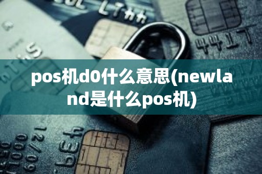 pos机d0什么意思(newland是什么pos机)