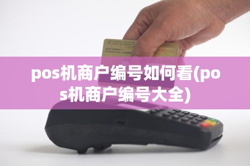 pos机商户编号如何看(pos机商户编号大全)