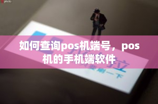 如何查询pos机端号,pos机的手机端软件 如何查询pos机端号,pos机的手机端软件