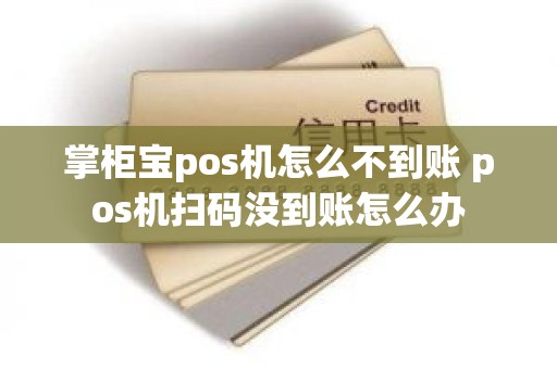 掌柜宝pos机怎么不到账 pos机扫码没到账怎么办