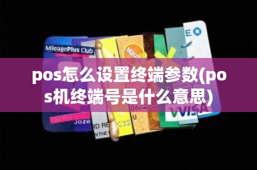 pos怎么设置终端参数(pos机终端号是什么意思)