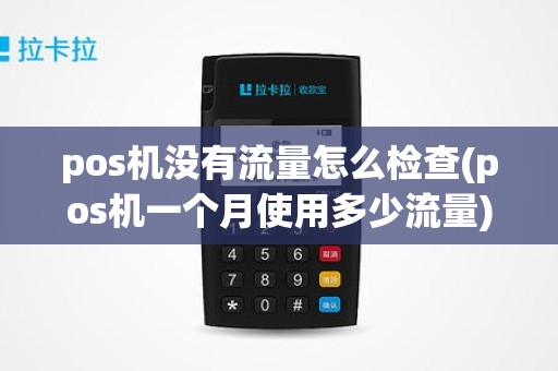 pos机没有流量怎么检查(pos机一个月使用多少流量)