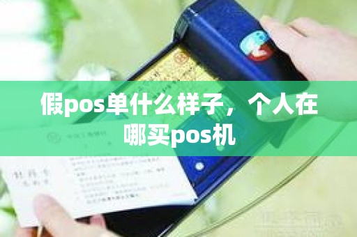 假pos单什么样子，个人在哪买pos机