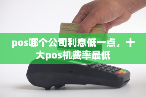 pos哪个公司利息低一点，十大pos机费率最低