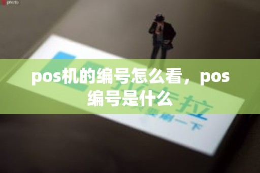 pos机的编号怎么看，pos编号是什么