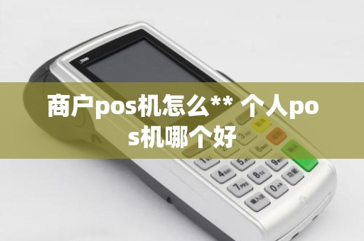商户pos机怎么** 个人pos机哪个好