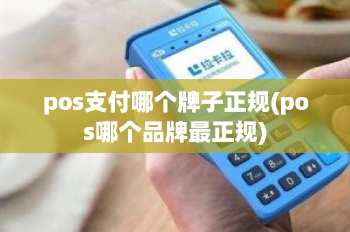 pos支付哪个牌子正规(pos哪个品牌最正规)
