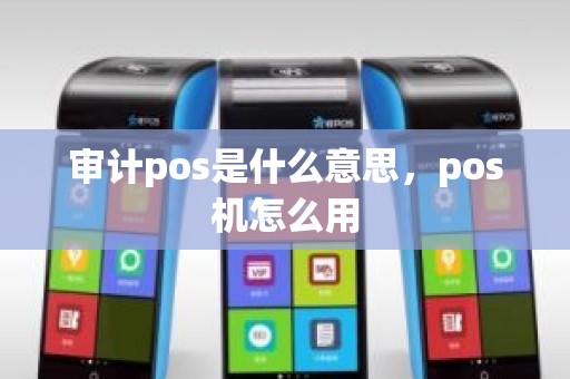 审计pos是什么意思，pos机怎么用
