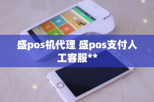 盛pos机代理 盛pos支付人工客服**