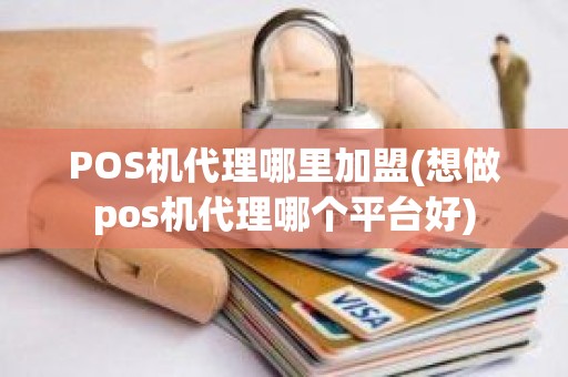 POS机代理哪里加盟(想做pos机代理哪个平台好)