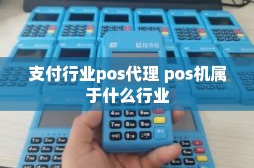 支付行业pos代理 pos机属于什么行业