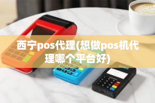 西宁pos代理(想做pos机代理哪个平台好)