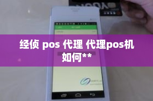 经侦 pos 代理 代理pos机如何**