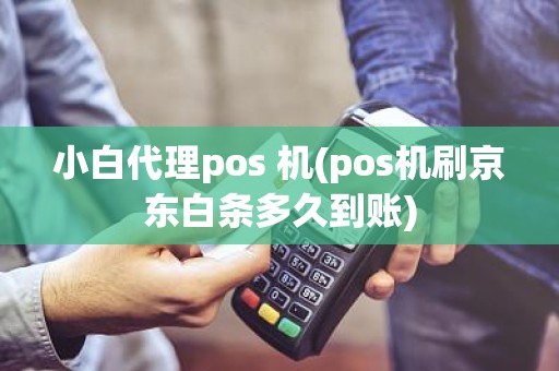 小白代理pos 机(pos机刷京东白条多久到账)