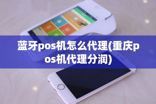 蓝牙pos机怎么代理(重庆pos机代理分润)