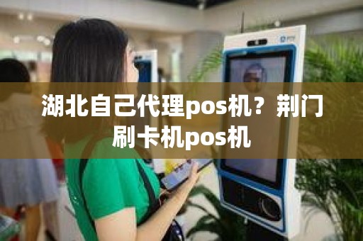 湖北自己代理pos机？荆门刷卡机pos机